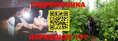 эйфоретик Гусь-Хрустальный