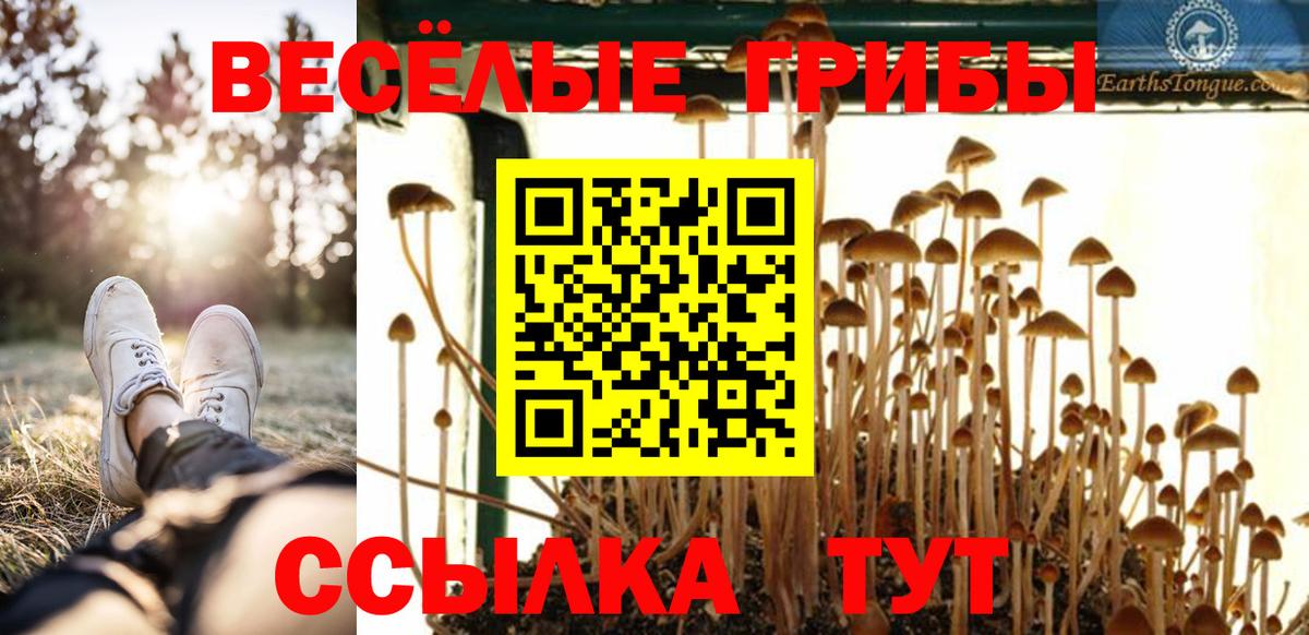 Новоалтайск  Галлюциногенные грибы мухоморы  Вход с VPN 